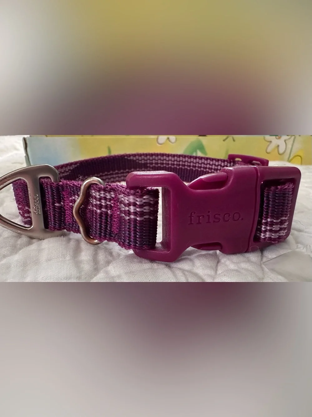 New~Frisco Plum Adjustable Dog Collar